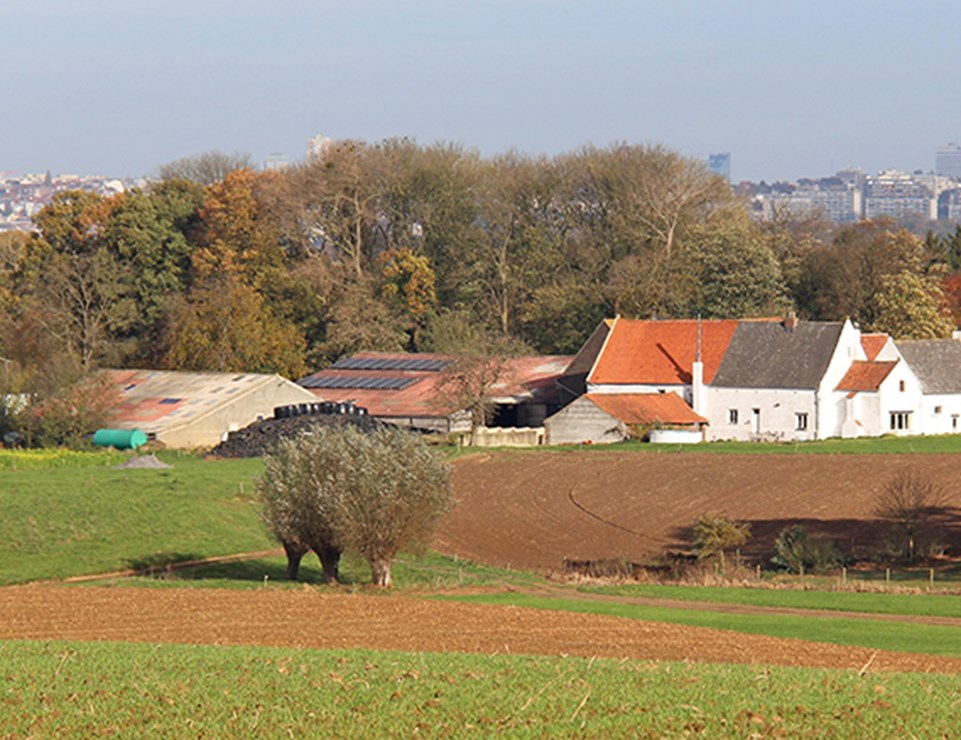 Heemkundig Genootschap 'van Witthem' Beersel